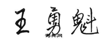 骆恒光王勇魁行书个性签名怎么写