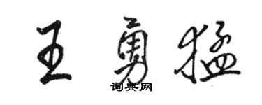 骆恒光王勇猛行书个性签名怎么写