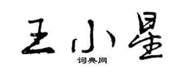 曾庆福王小星行书个性签名怎么写