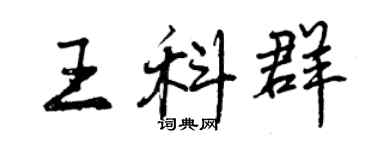 曾庆福王科群行书个性签名怎么写