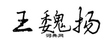 曾庆福王魏扬行书个性签名怎么写