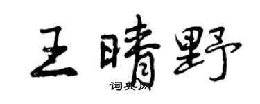 曾庆福王晴野行书个性签名怎么写