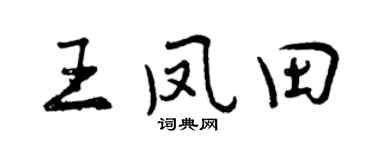 曾庆福王凤田行书个性签名怎么写