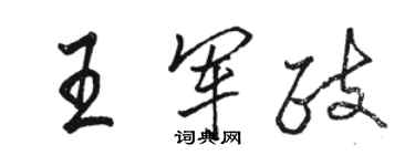 骆恒光王军政行书个性签名怎么写