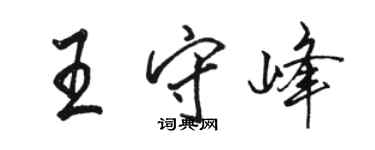 骆恒光王守峰行书个性签名怎么写