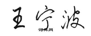 骆恒光王宁波行书个性签名怎么写
