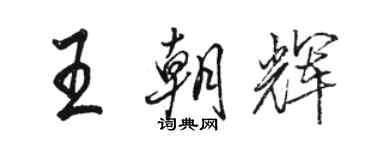 骆恒光王朝辉行书个性签名怎么写