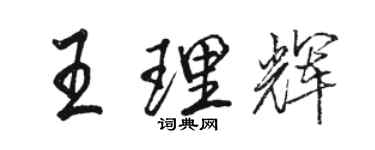 骆恒光王理辉行书个性签名怎么写