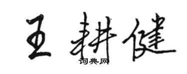 骆恒光王耕健行书个性签名怎么写