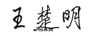 骆恒光王楚明行书个性签名怎么写