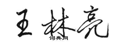 骆恒光王林亮行书个性签名怎么写