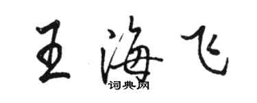 骆恒光王海飞行书个性签名怎么写