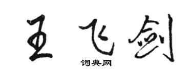 骆恒光王飞剑行书个性签名怎么写