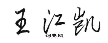 骆恒光王江凯行书个性签名怎么写