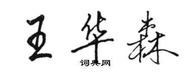 骆恒光王华森行书个性签名怎么写