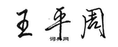 骆恒光王平周行书个性签名怎么写