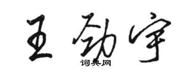 骆恒光王劲宇行书个性签名怎么写