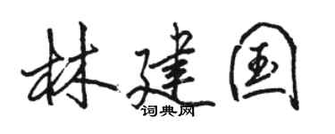 骆恒光林建国行书个性签名怎么写