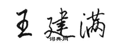 骆恒光王建满行书个性签名怎么写