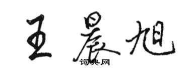 骆恒光王晨旭行书个性签名怎么写
