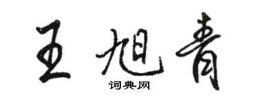 骆恒光王旭青行书个性签名怎么写