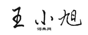 骆恒光王小旭行书个性签名怎么写