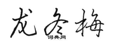 骆恒光龙冬梅行书个性签名怎么写