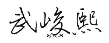 骆恒光武峻熙行书个性签名怎么写