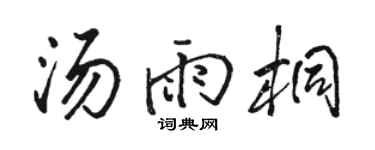 骆恒光汤雨桐行书个性签名怎么写