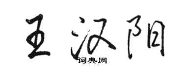 骆恒光王汉阳行书个性签名怎么写