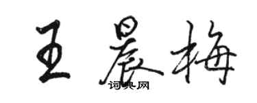 骆恒光王晨梅行书个性签名怎么写