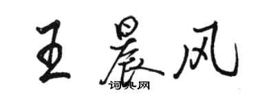 骆恒光王晨风行书个性签名怎么写