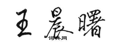 骆恒光王晨曙行书个性签名怎么写
