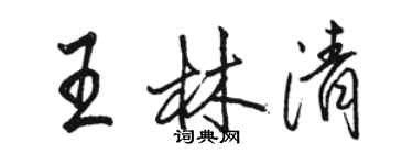 骆恒光王林清行书个性签名怎么写