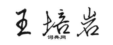 骆恒光王培岩行书个性签名怎么写