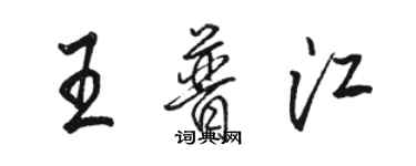 骆恒光王普江行书个性签名怎么写
