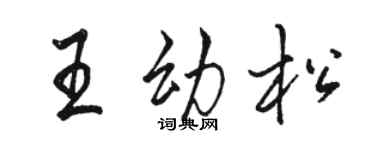骆恒光王幼松行书个性签名怎么写