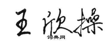 骆恒光王欣操行书个性签名怎么写
