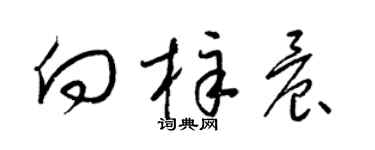 梁锦英向梓晨草书个性签名怎么写