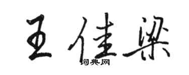 骆恒光王佳梁行书个性签名怎么写