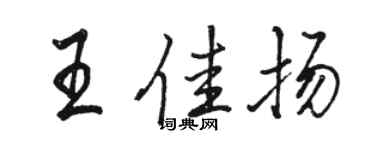 骆恒光王佳扬行书个性签名怎么写