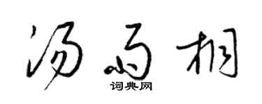 梁锦英汤雨桐草书个性签名怎么写