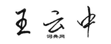 骆恒光王云中行书个性签名怎么写