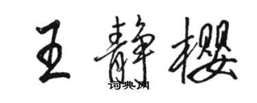 骆恒光王静樱行书个性签名怎么写