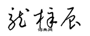 梁锦英龙梓辰草书个性签名怎么写