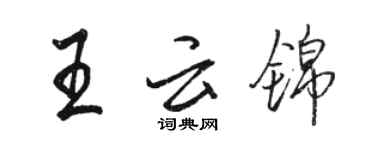 骆恒光王云锦行书个性签名怎么写