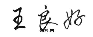 骆恒光王良好行书个性签名怎么写