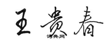 骆恒光王贵春行书个性签名怎么写