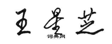 骆恒光王星芝行书个性签名怎么写
