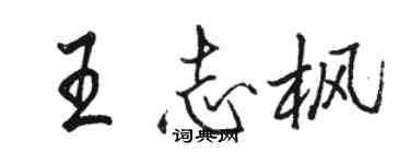 骆恒光王志枫行书个性签名怎么写